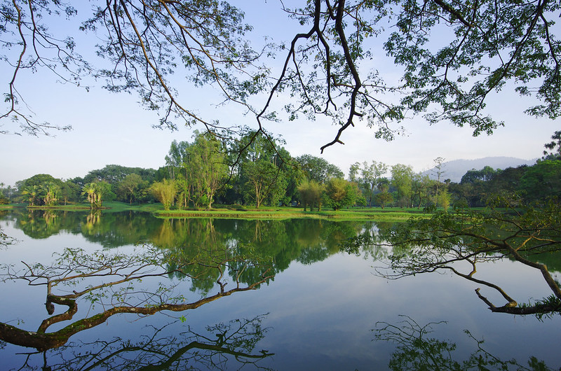 taiping lake gardens