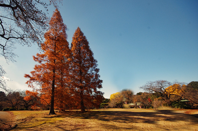 shinjuku gyoen