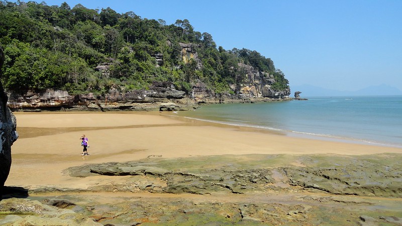 bako national park in sarawak