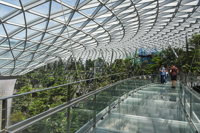 canopy bridge - jewel changi airport