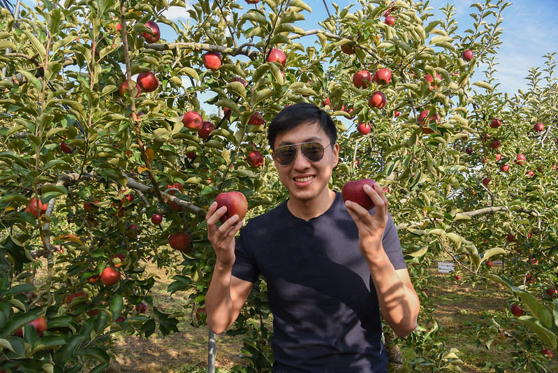 fruit picking in Minakami, Gunma