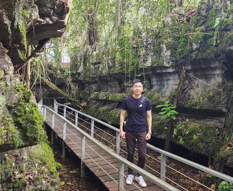 paku rock maze garden