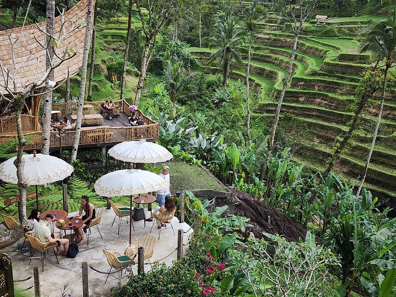 view of the tegalalang rice terraces from tis cafe