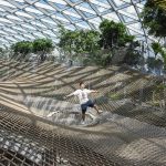 My Experience at Canopy Park (Jewel Changi Airport) Full Guide + Cheap Tickets – Mindboggling Mazes, Height Defying Walking Nets & More