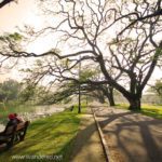 The Lake Garden City of Taiping in Malaysia